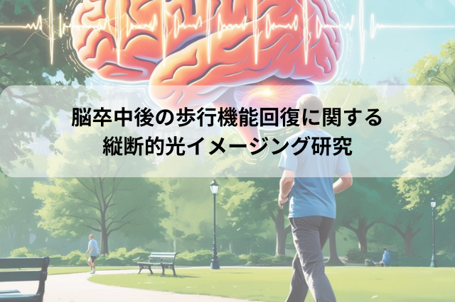 脳卒中後の歩行機能回復に関する縦断的光イメージング研究